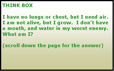 Text Box: THINK BOXI have no lungs or chest, but I need air.  I am not alive, but I grow.  I dont have a mouth, and water is my worst enemy.What am I?(scroll down the page for the answer)