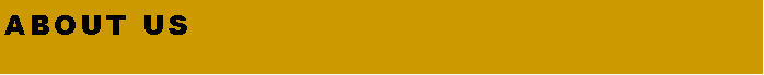 Text Box: About Us