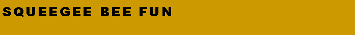Text Box: Squeegee BEE FUN